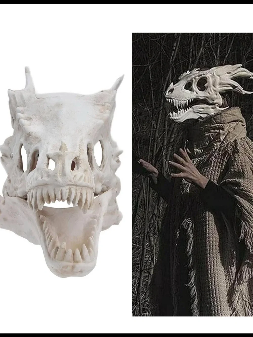 N/A realistic dragon